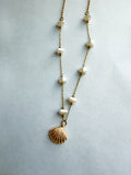 Seashell dreams