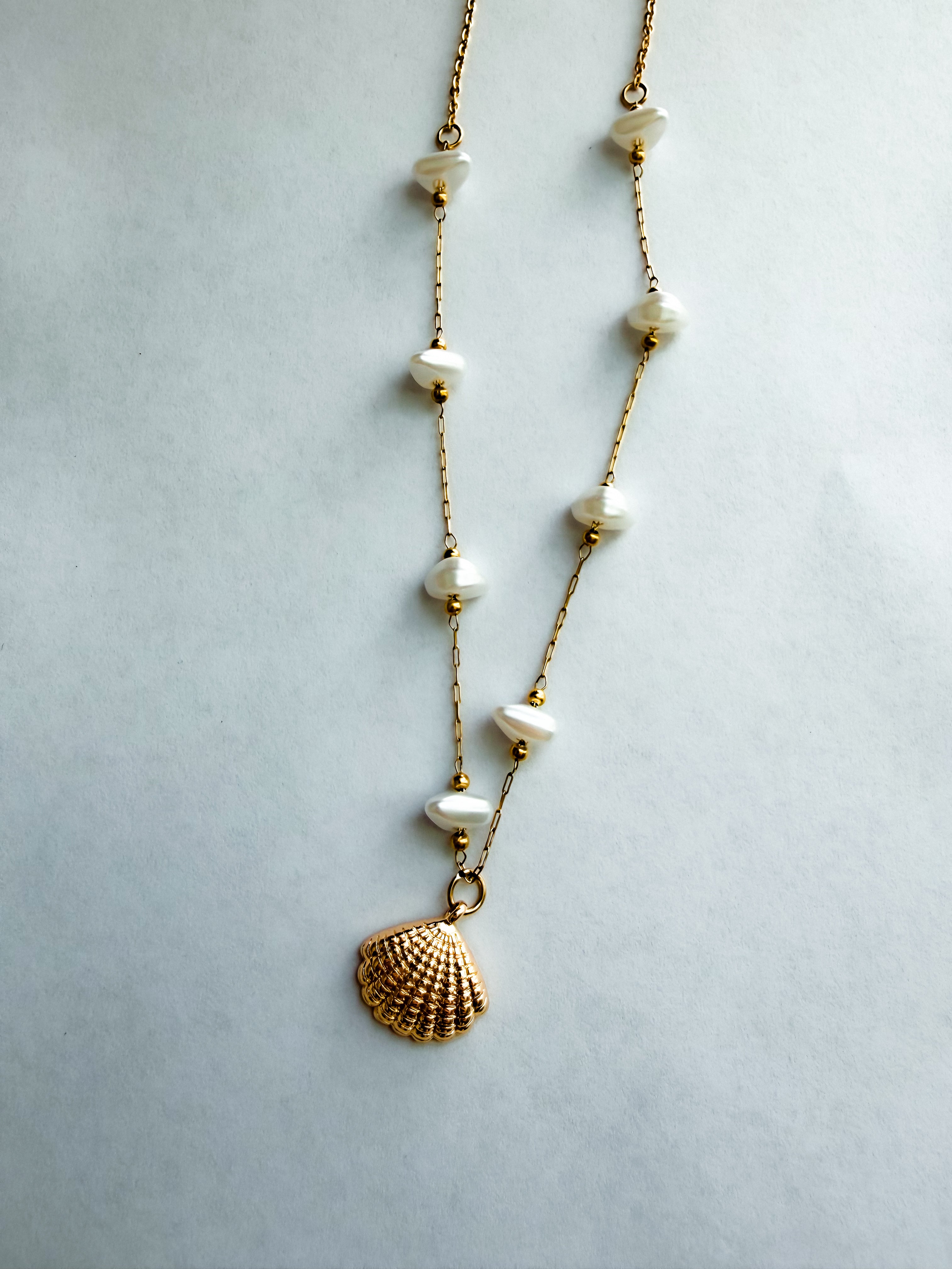 Seashell dreams